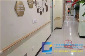 金沙洲颐康中心走廊通道扶手和卫生间无障碍扶手项目 (6)