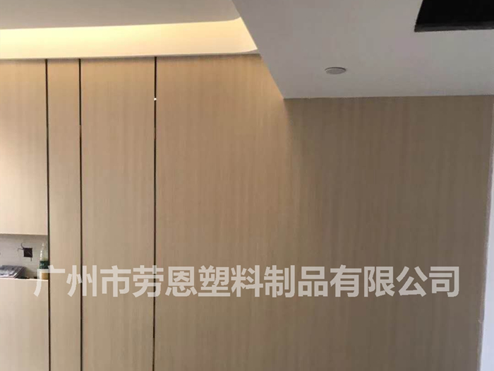 医用树脂板5